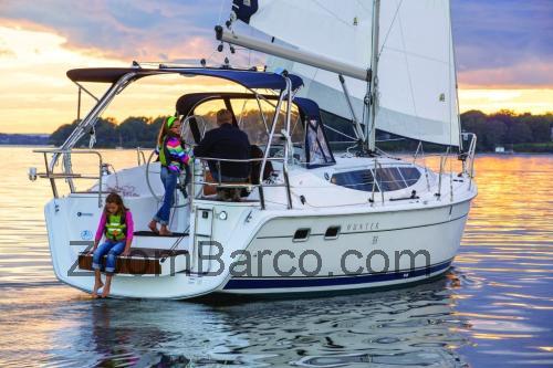 Hunter 33 ficha tecnica